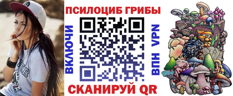 Купить закладки  Юрга  Псилоцибиновые грибы Psilocybine cubensis 